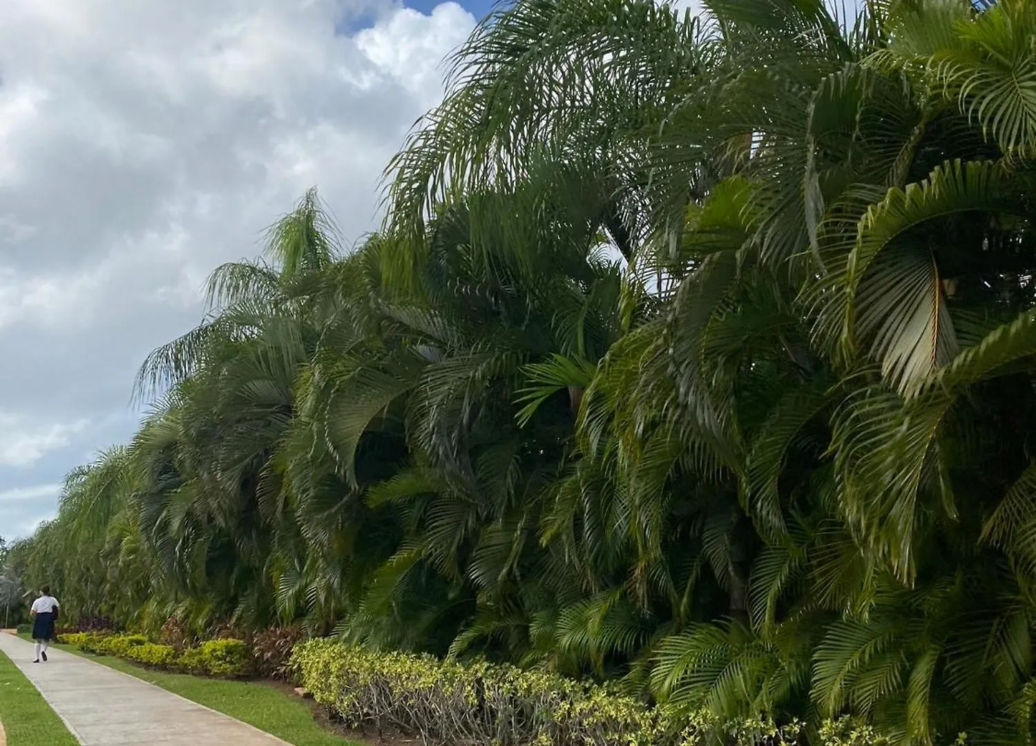 Enjoy Cancun Mexico